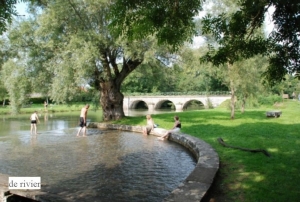 Hondencamping Domaine le Gui in Frankrijk een waar genot voor iedere viervoeter